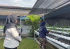Hidroponik Jadi Media Pembinaan Produktif, Rutan Balikpapan Tingkatkan Kemandirian Warga Binaan